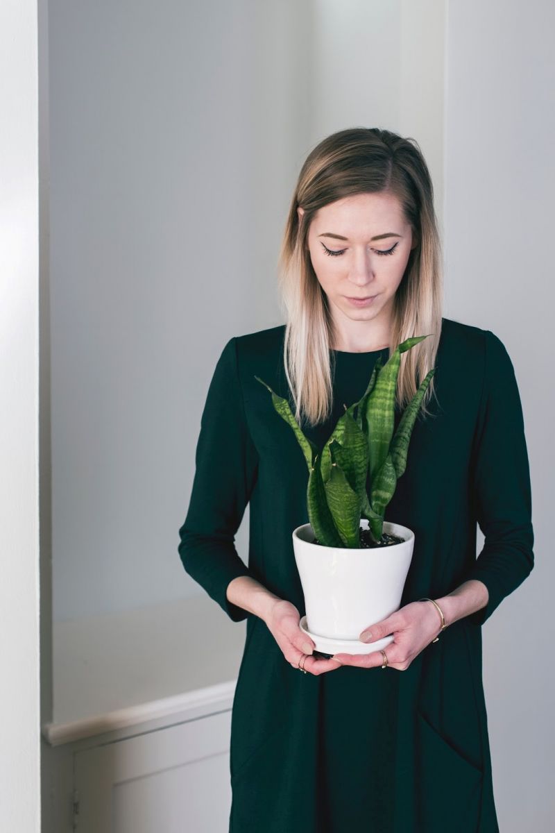 Woman holding house plant.