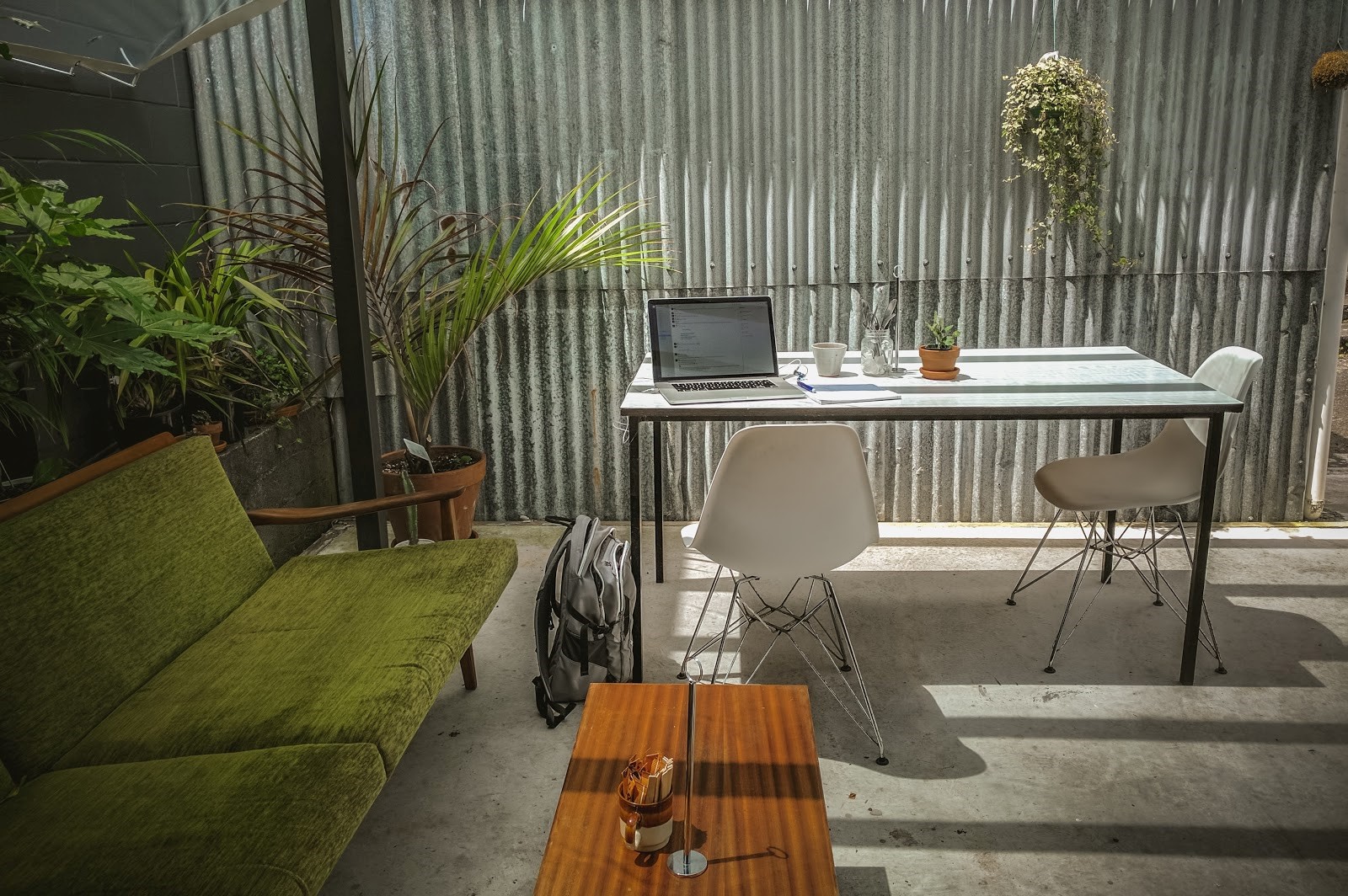 An office space filled with plants