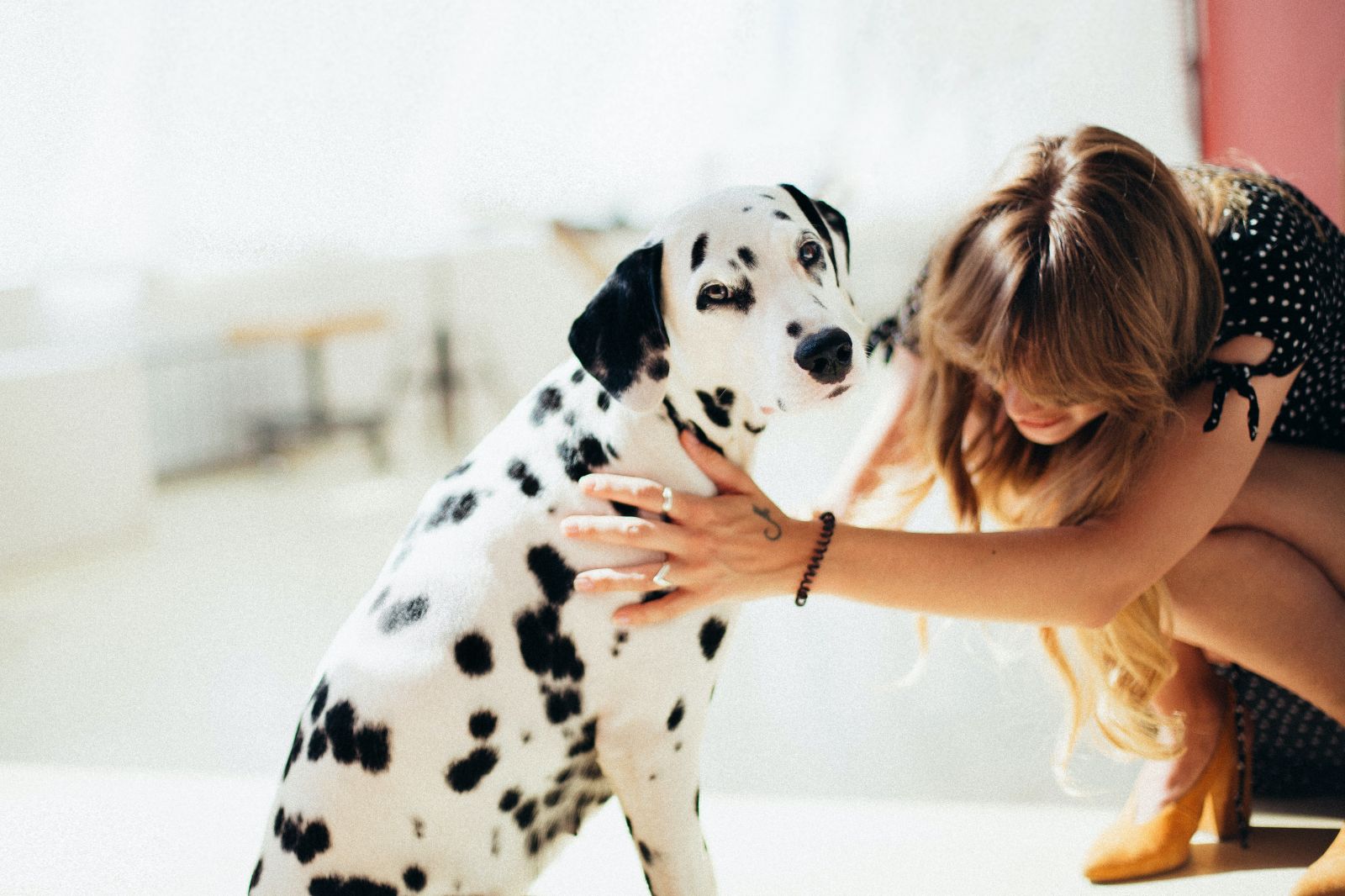 Find the perfect pet-friendly apartment for rent for you and your furry friend. 