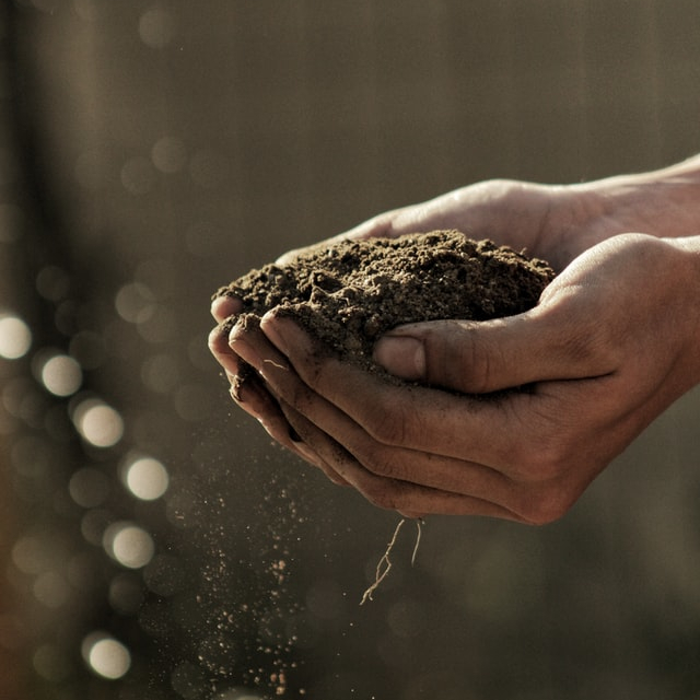 Just like your property for rent in Malta, you need a good foundation for your plants to grow