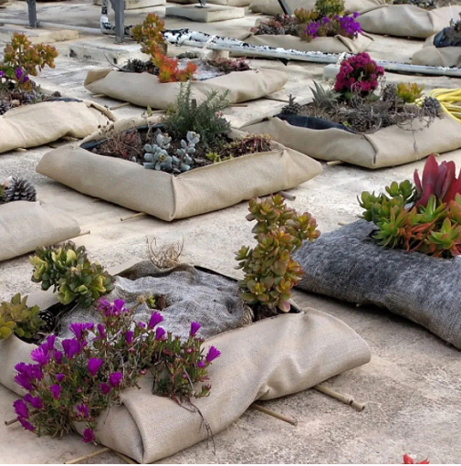 If you’re struggling for space in your Maltese property rental, try looking at a roof garden. 