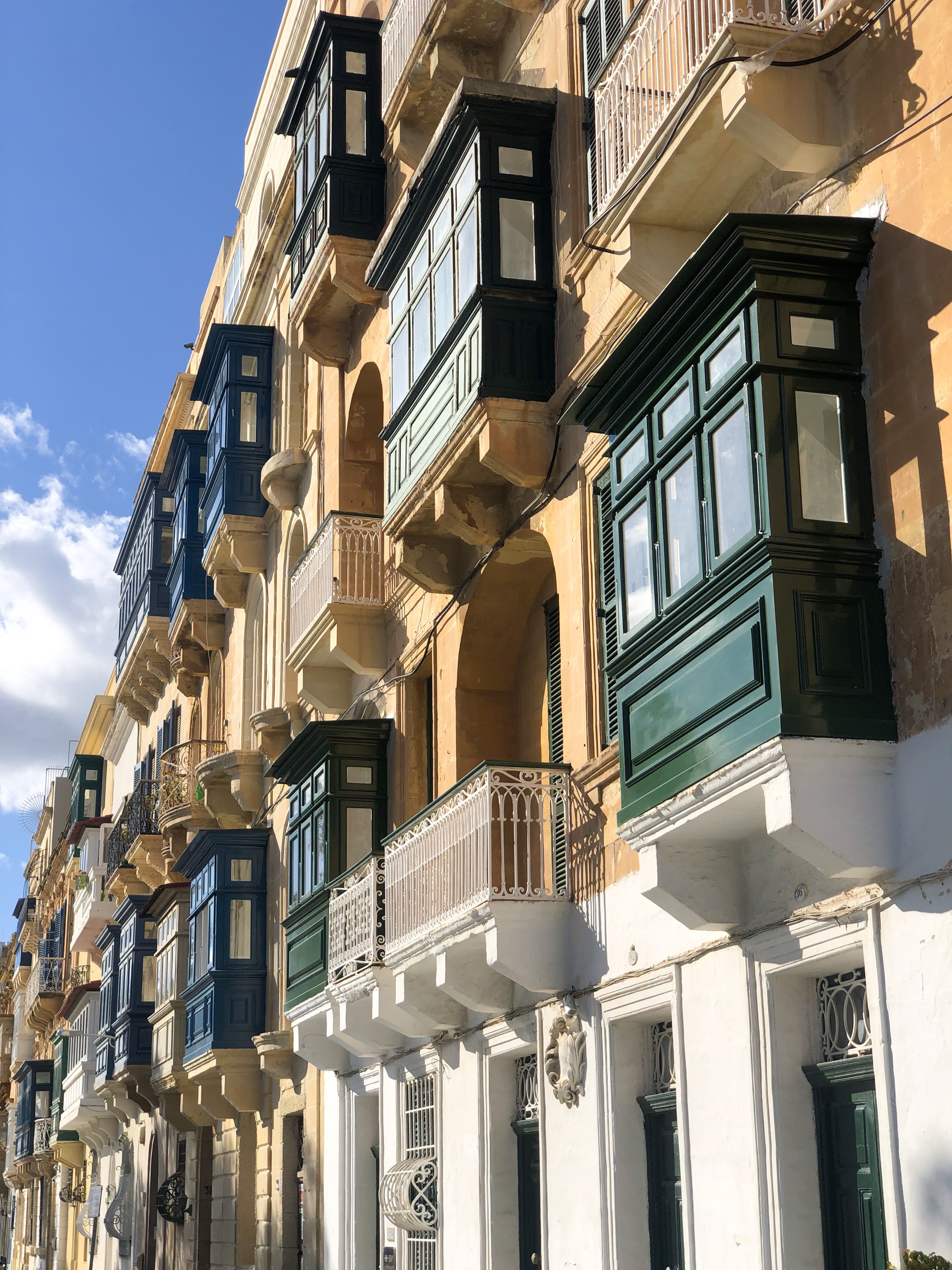 Living in a concrete Jungle