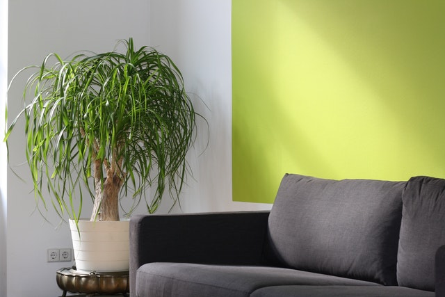 Tips on how to decorate your rental property